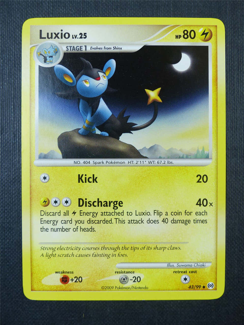 Luxio Pokemon-keräilykortti sinisellä taustalla Taustakuvat