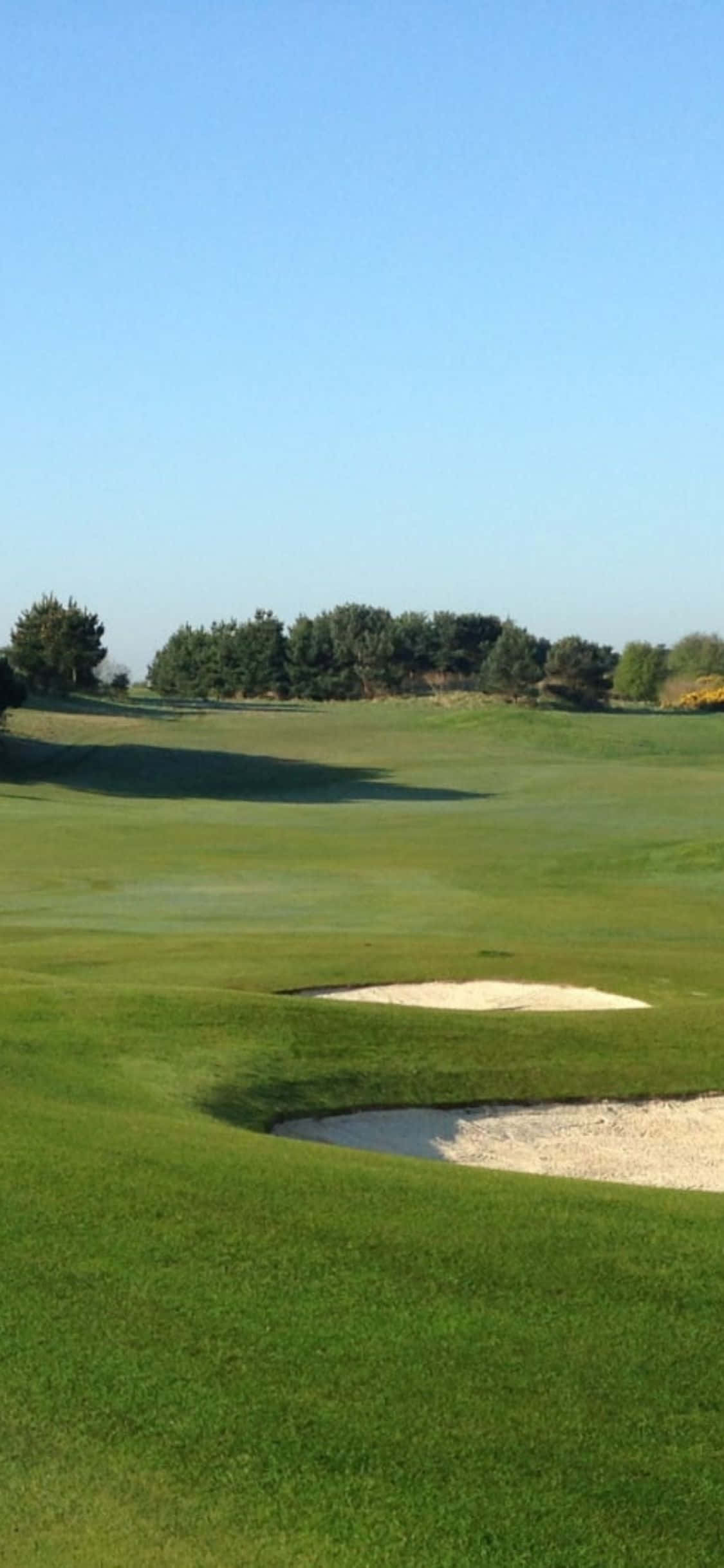 Lyö avauslyönti golfkentän virheettömällä viheriöllä Taustakuvat