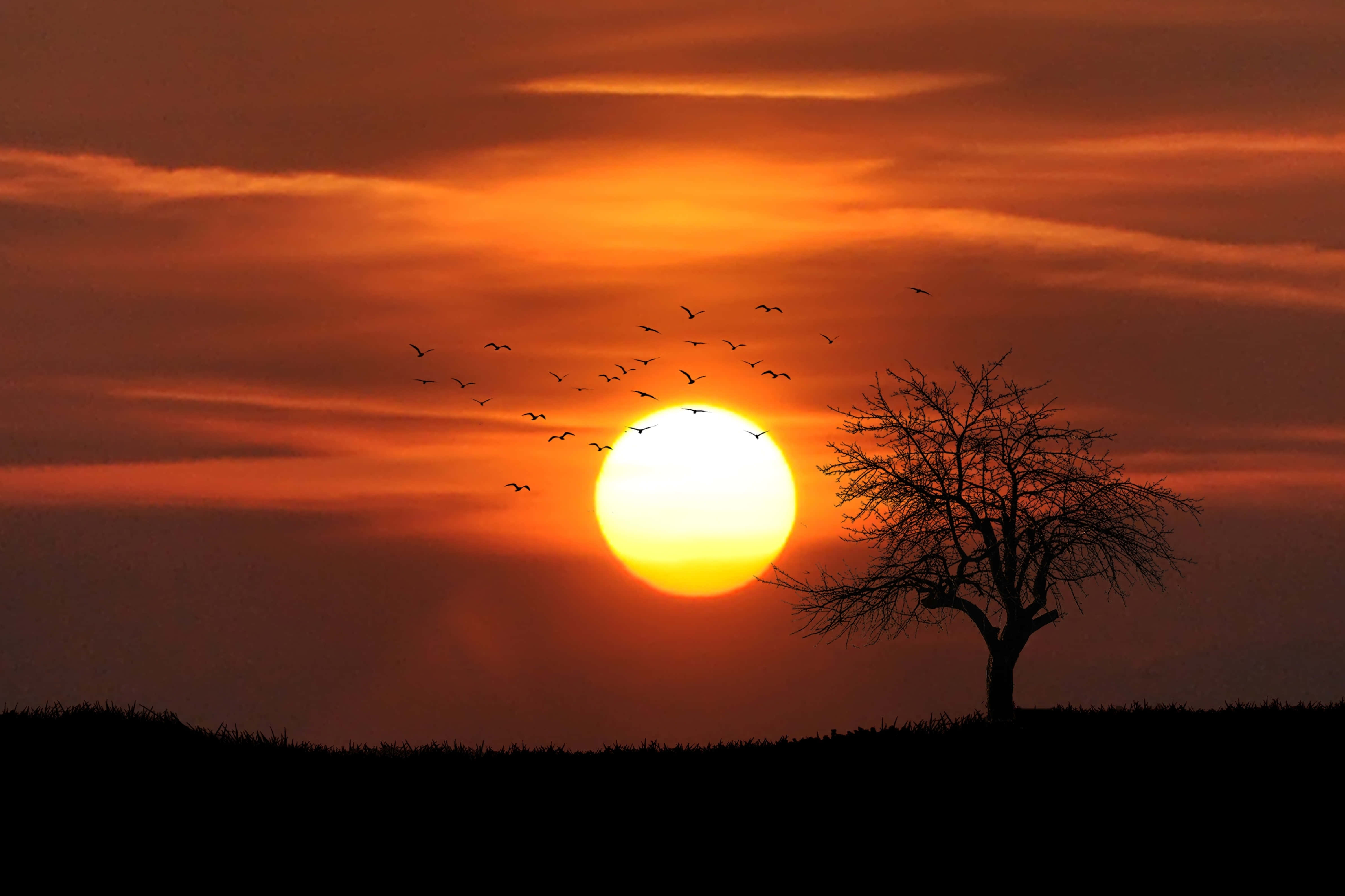Maaginen auringonlasku Taustakuvat