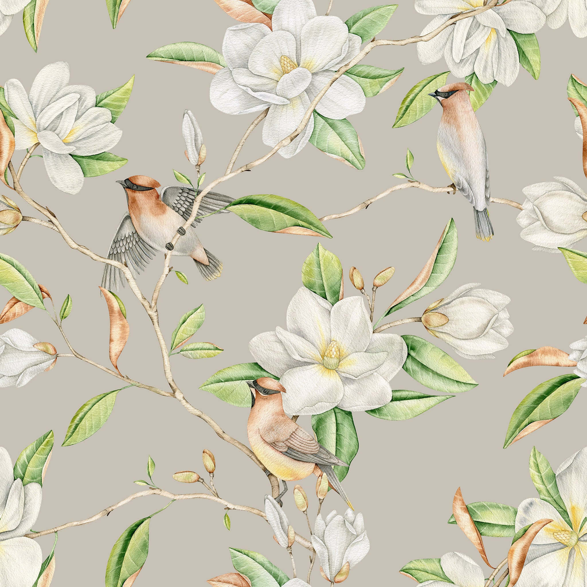 Magnolian kukka esteettinen painettu kuvio Taustakuvat