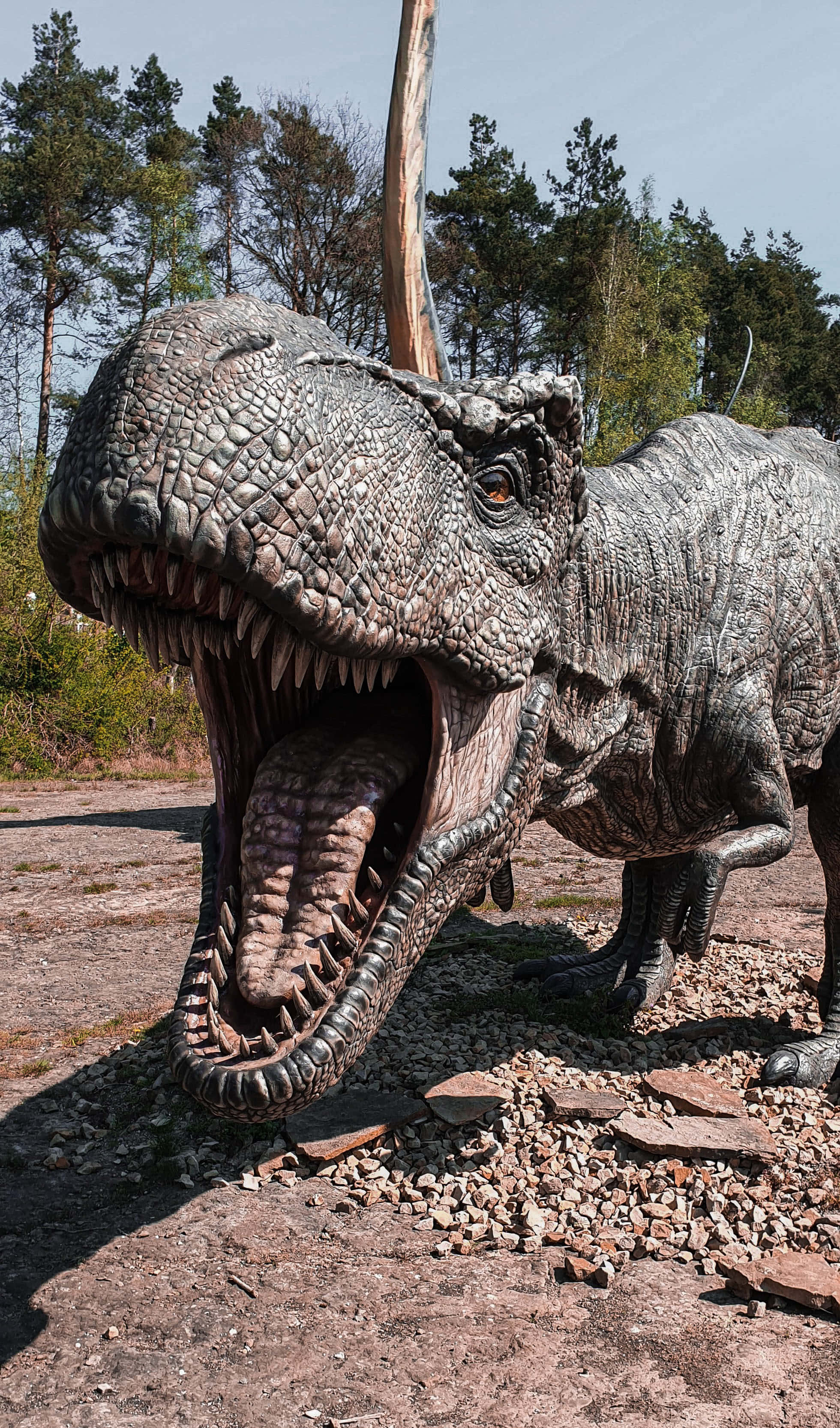 Mahtava näkymä majesteettisesta Brachiosauruksesta Taustakuvat