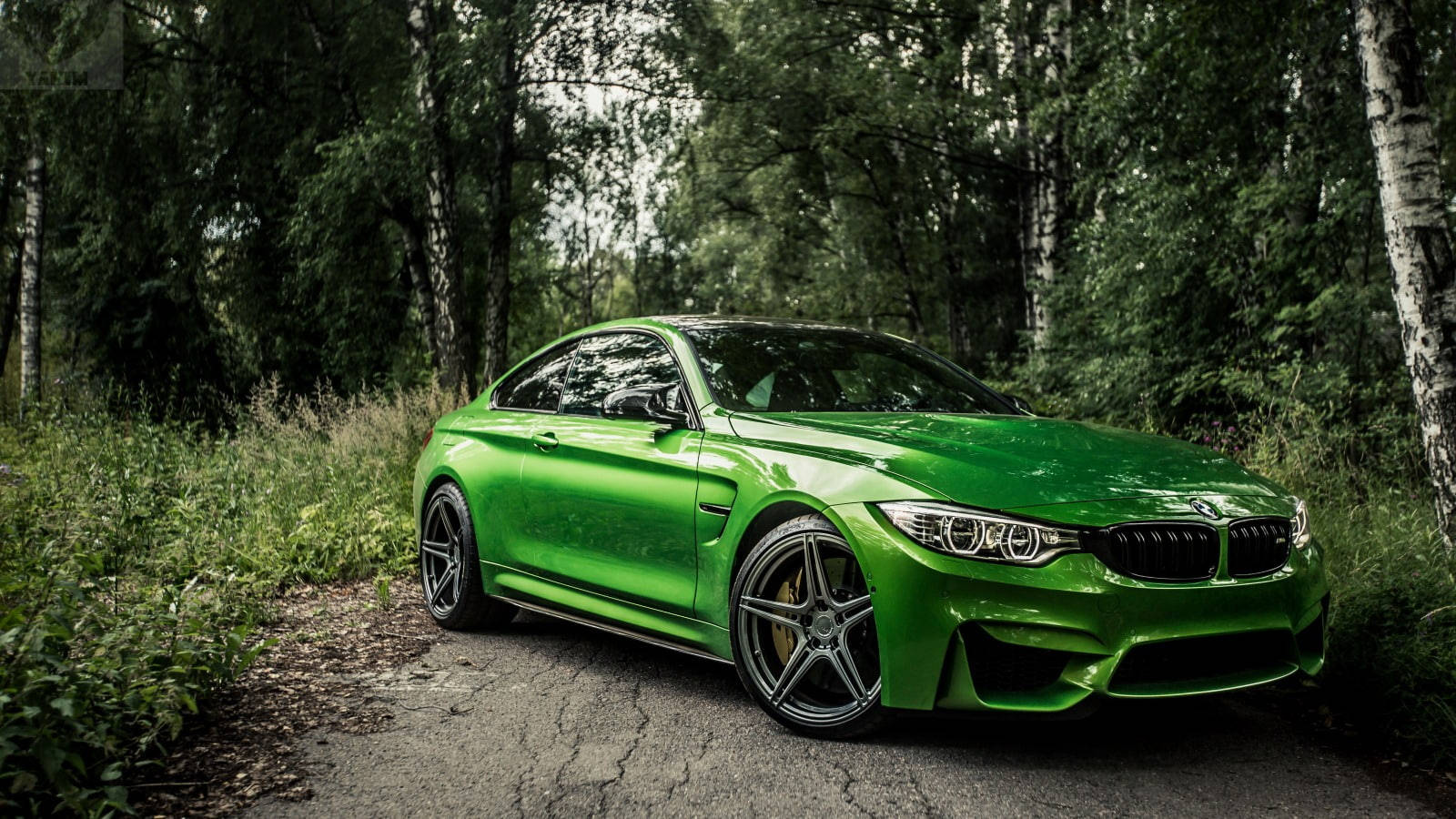 Mahtava vihreä BMW M4 karjuu metsän läpi Taustakuvat