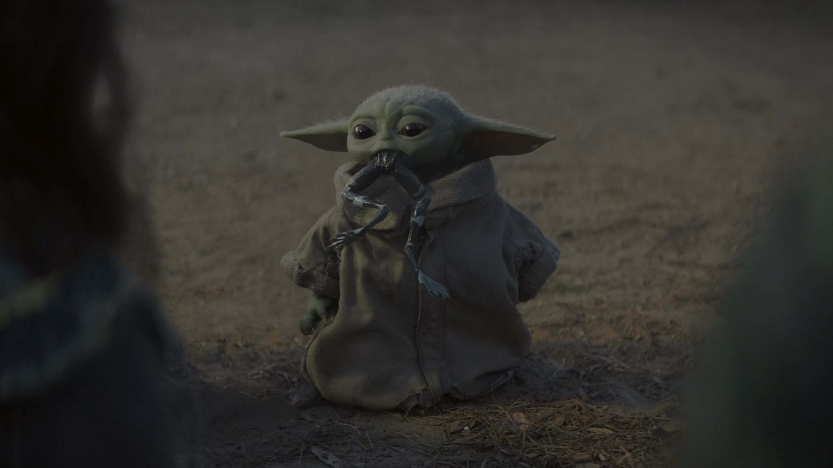 Mandalorian Yoda puree sammakonreisiä Taustakuvat