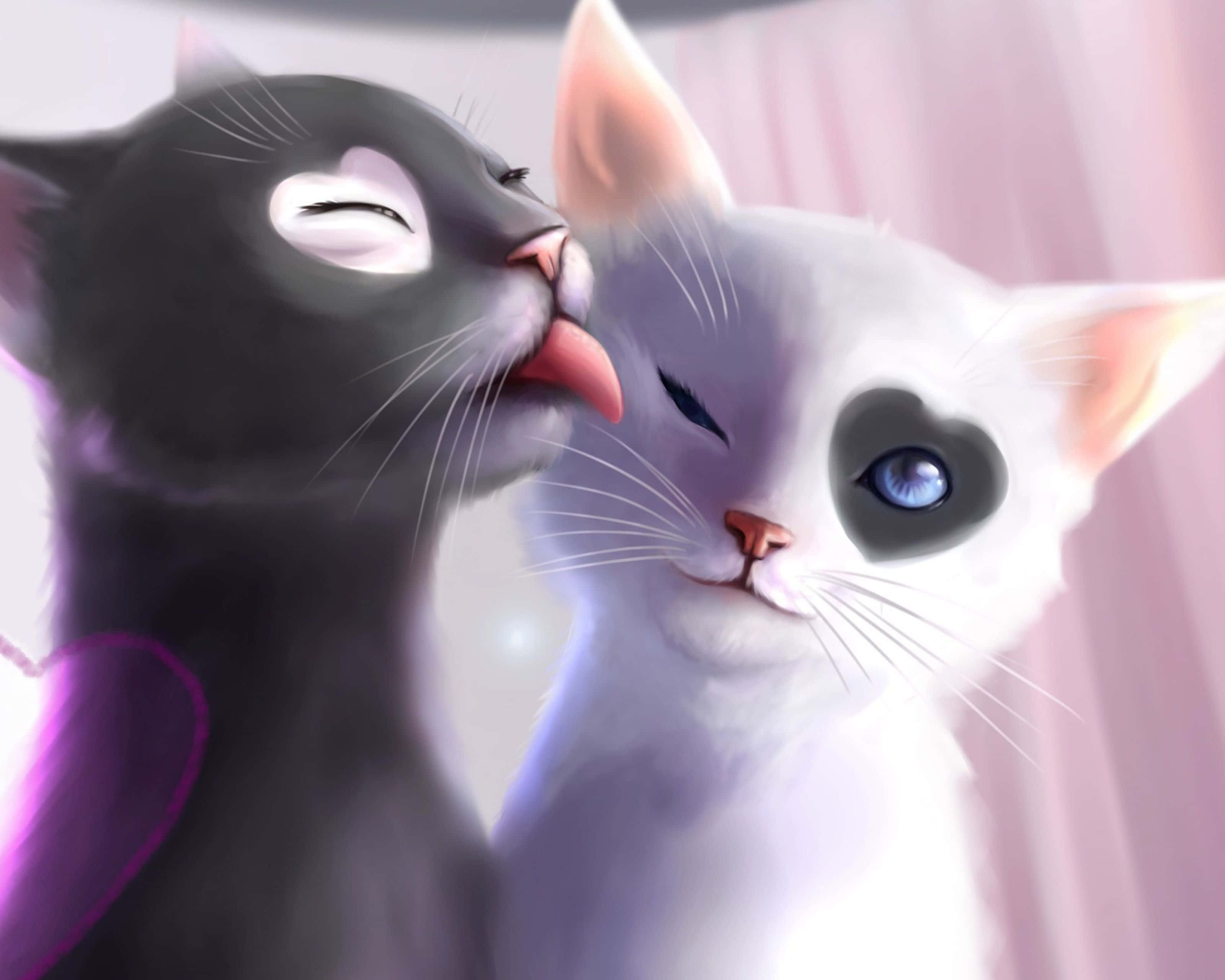 Matching Cat Pfp Nuoleminen Taustakuvat