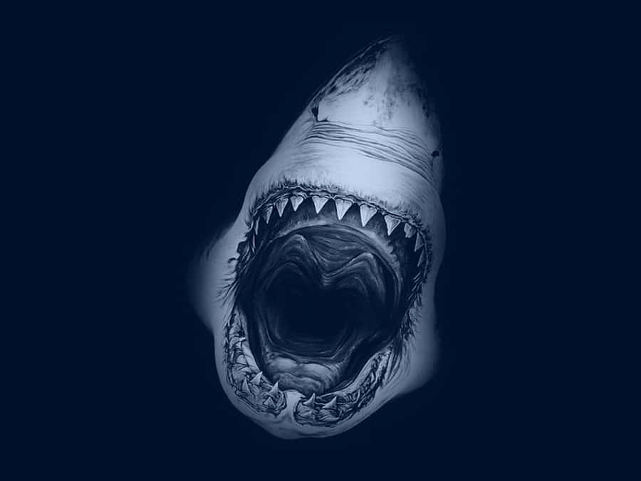 Megalodon sininen esteettinen karjunta Taustakuvat