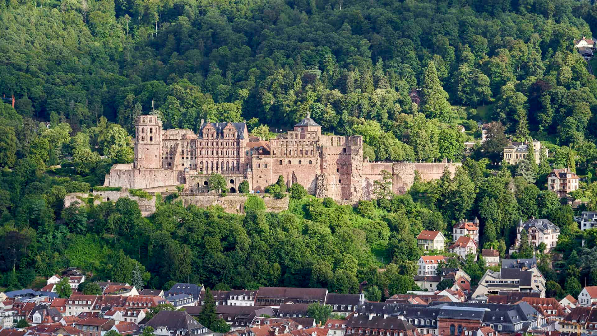 Metsä Heidelbergin linnan ympärillä Taustakuvat