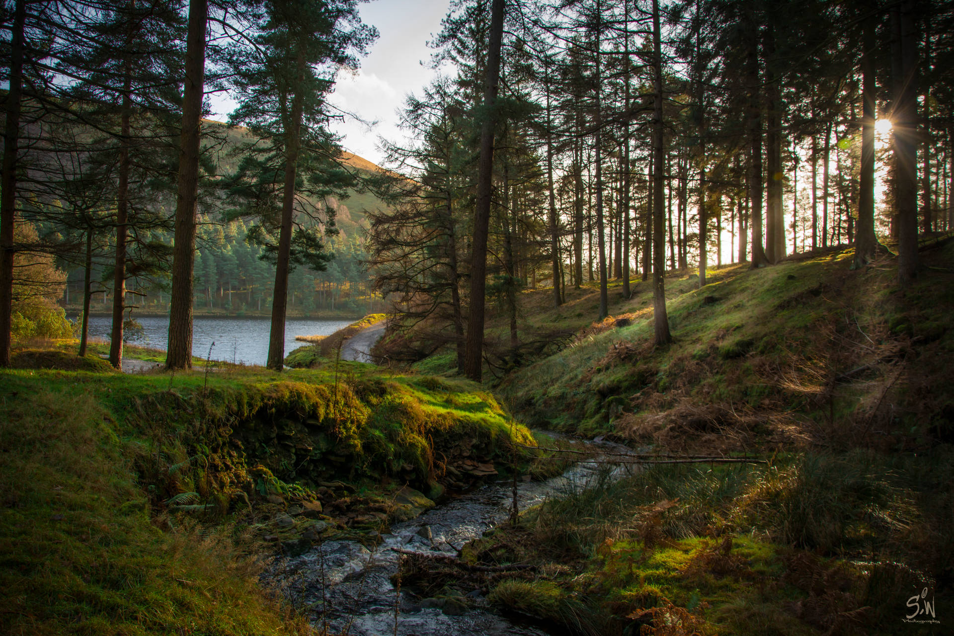 Metsä purolla taustakuva