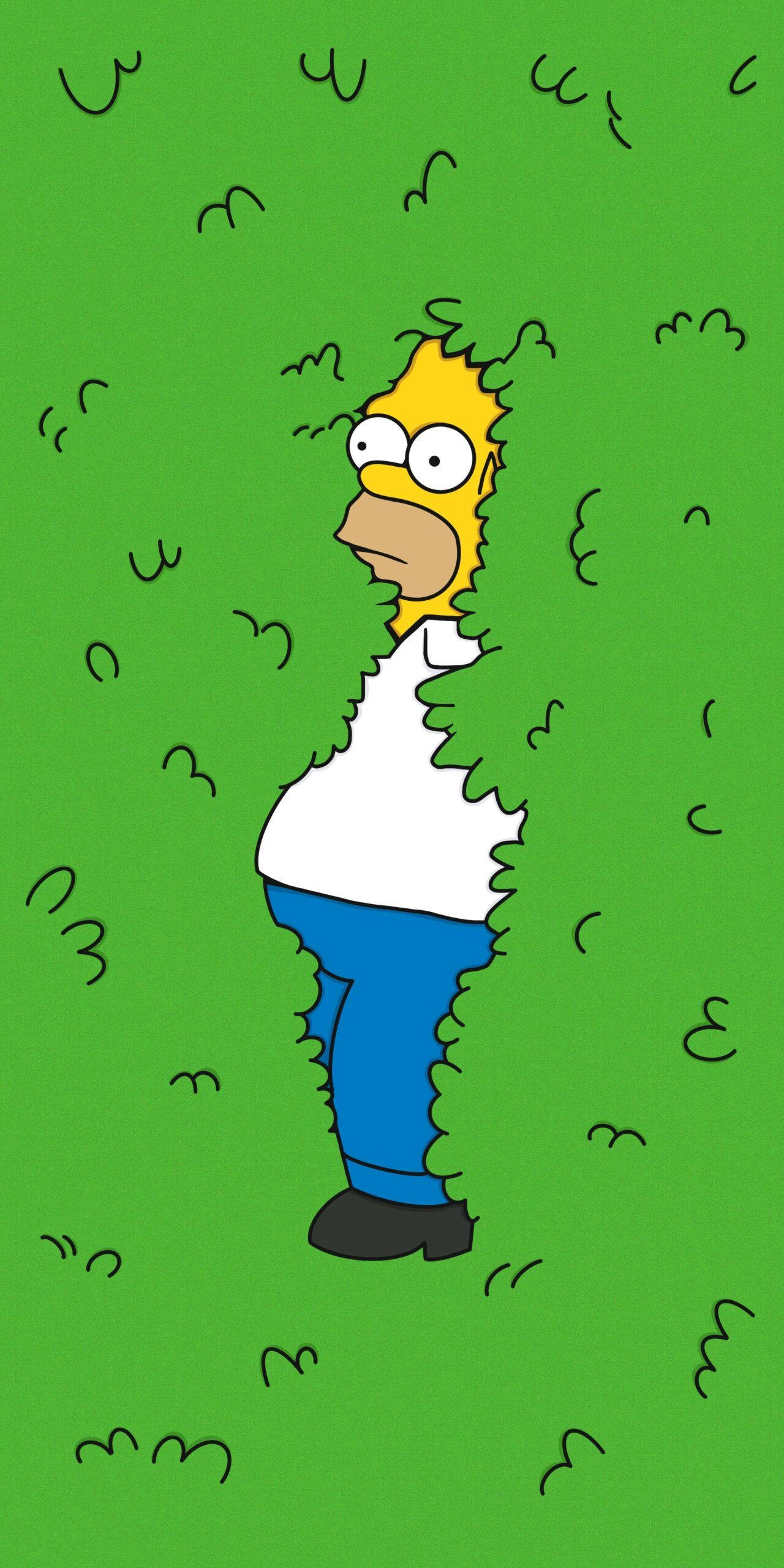 Metsäinen Homer Simpson hauska Taustakuvat