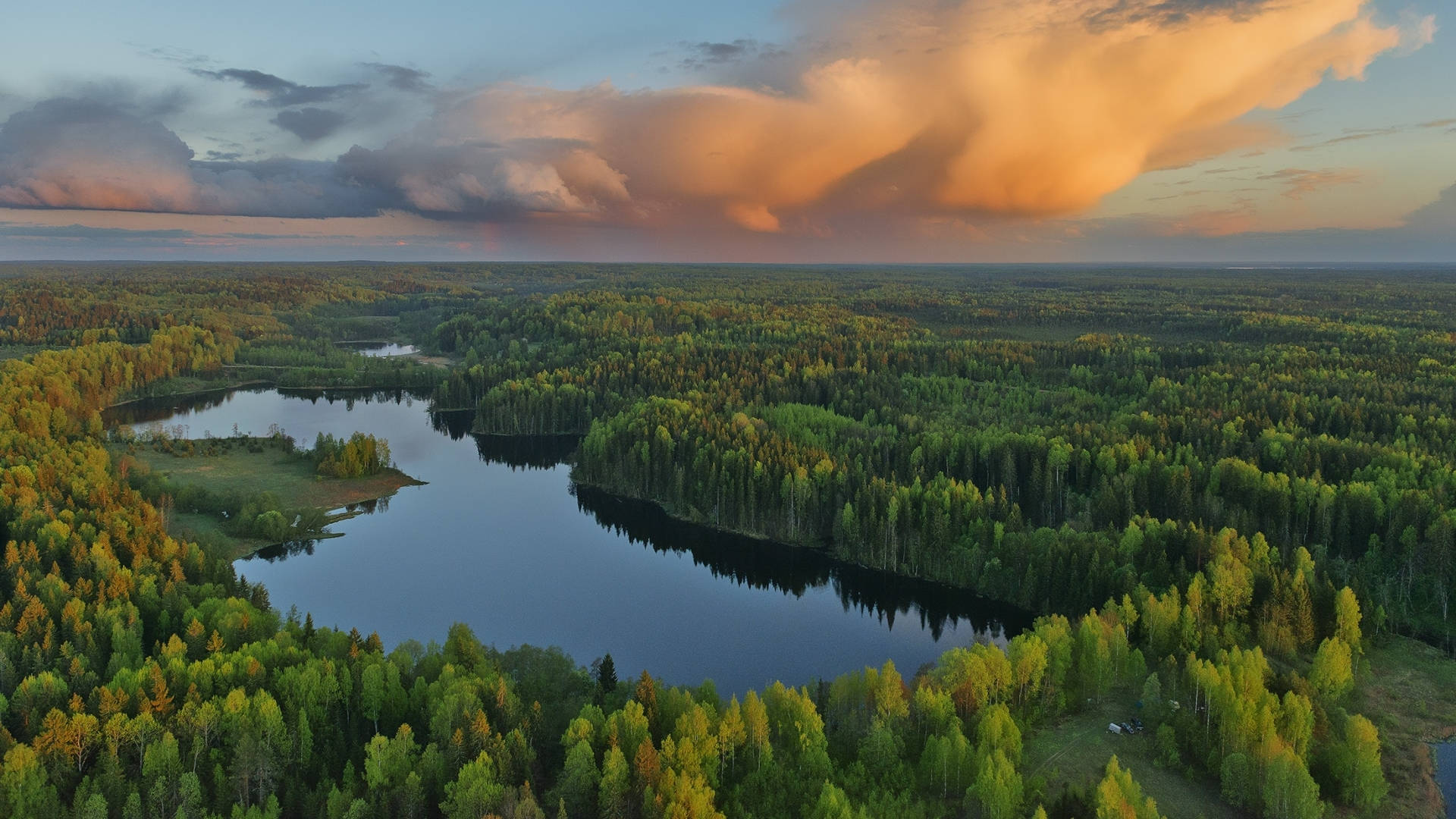Metsänäkymä järven kanssa Taustakuvat