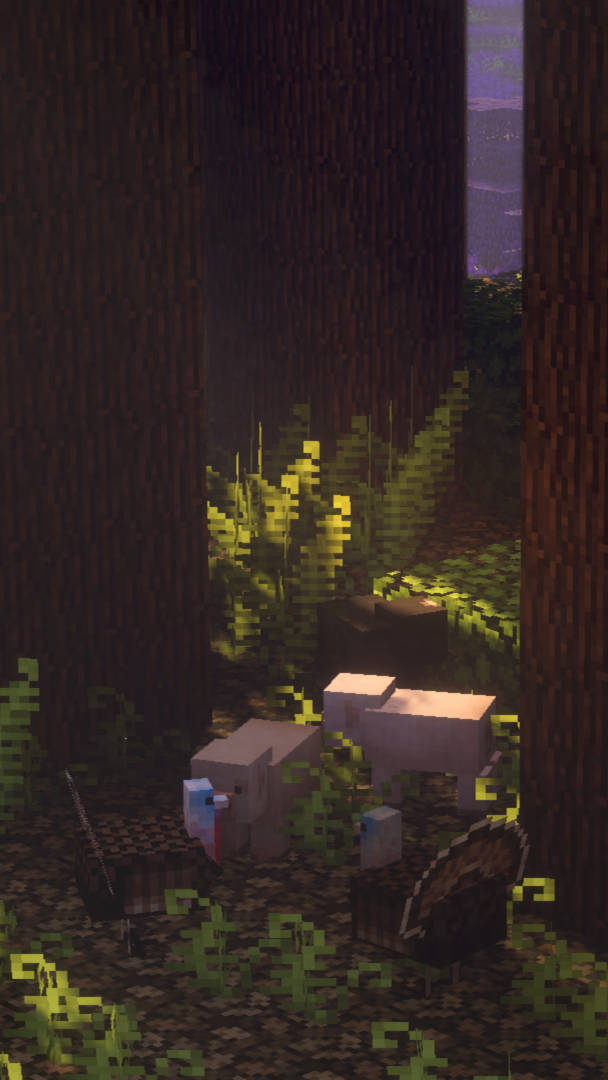 Minecraft Aesthetic Piilotettu Synkkä Metsä Taustakuvat