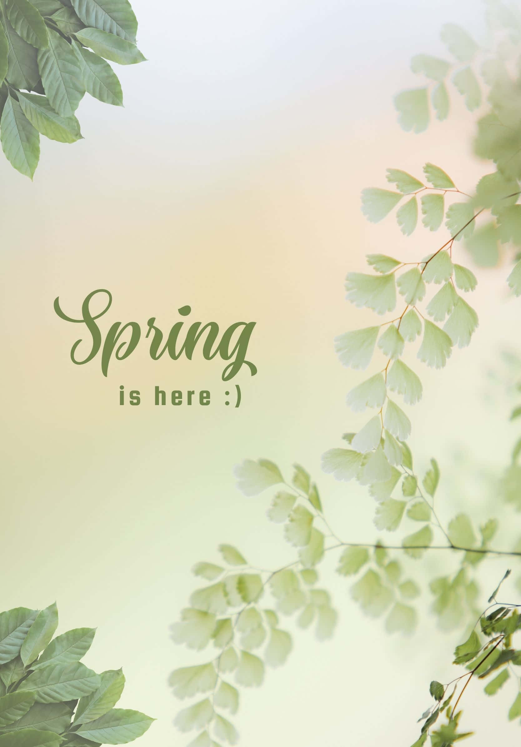 Minimalistinen Best Spring -vihreät lehdet -tausta Taustakuvat
