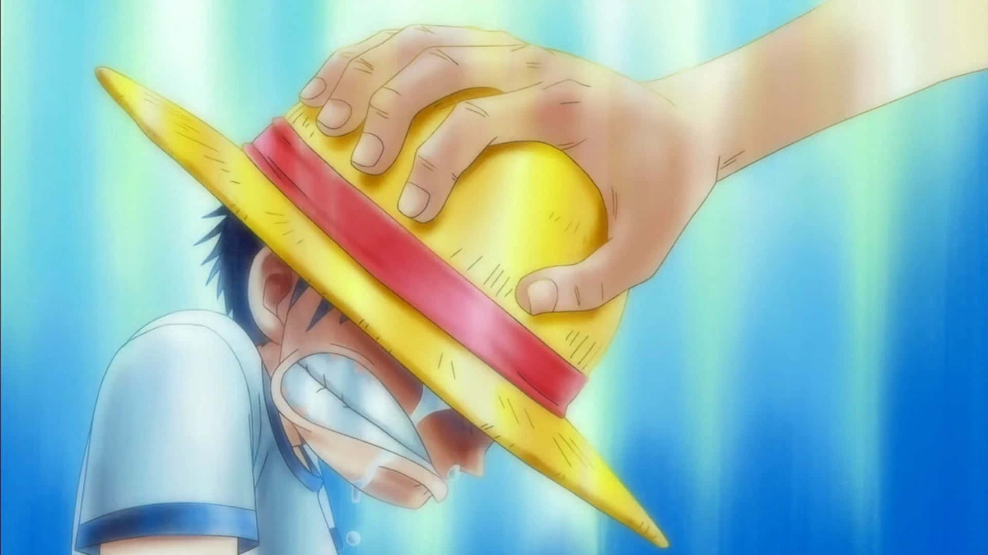 Monkey D. Luffy – Merirosvokuningas Olkihattupiraattien joukosta Taustakuvat