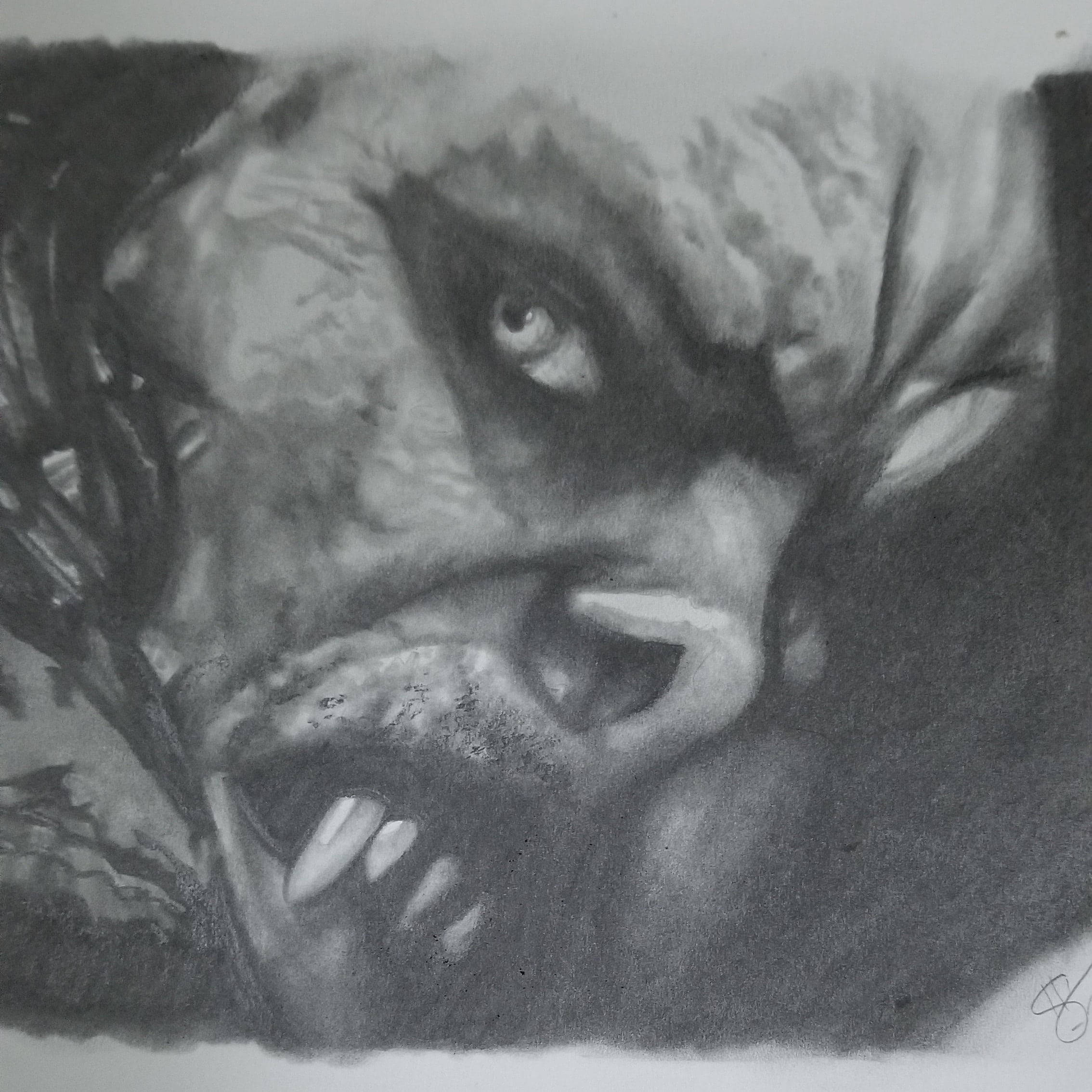 Morbius-kasvojen piirros Taustakuvat