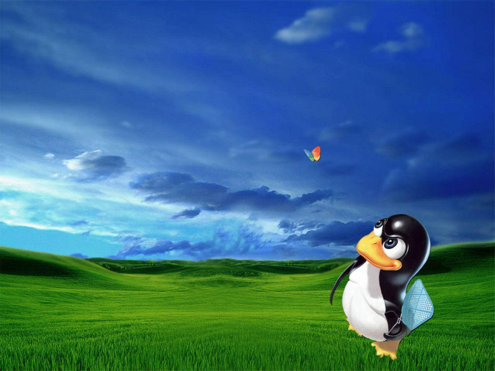 MSN-perhonen ja Tux Taustakuvat