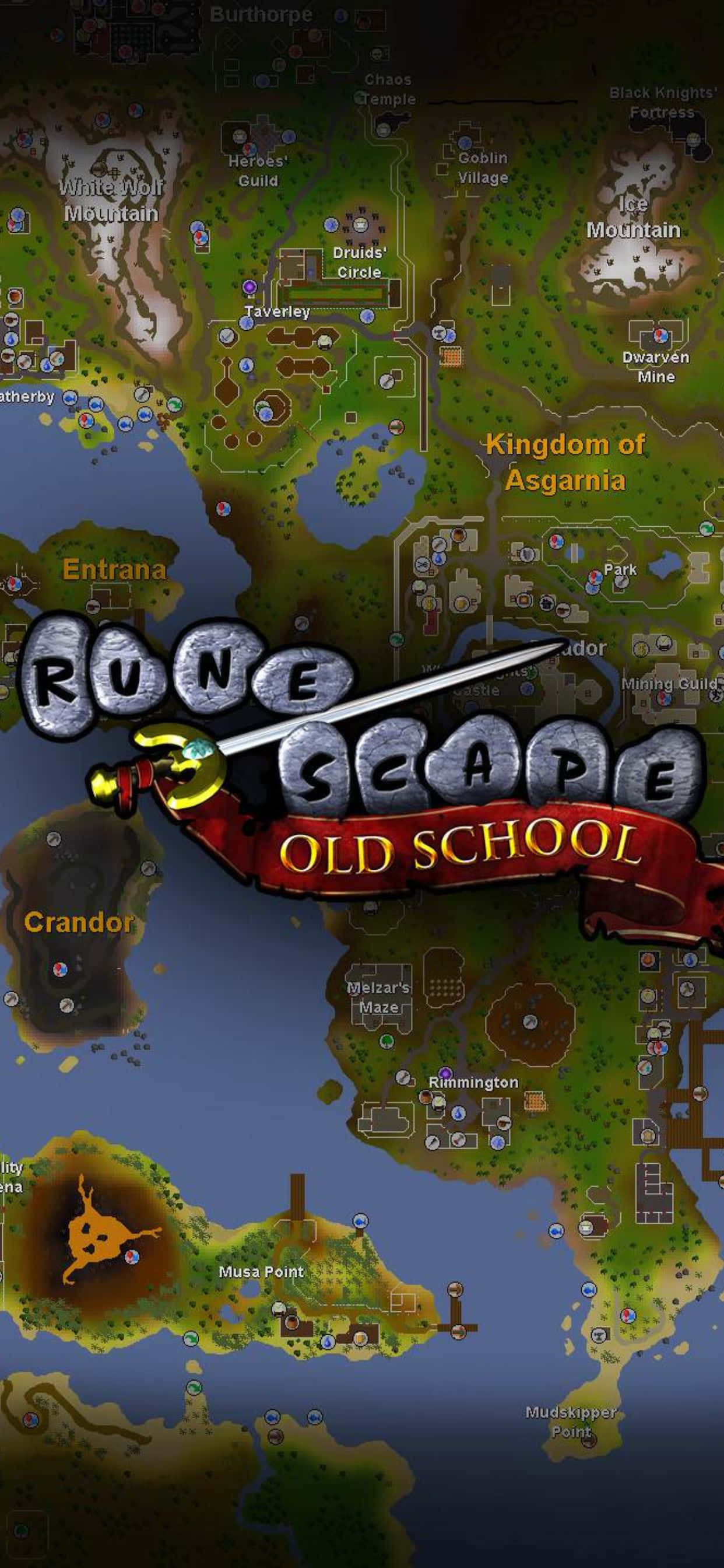Muotokuva kartasta iPhone Xs Max Runescape Oldschool tausta Taustakuvat