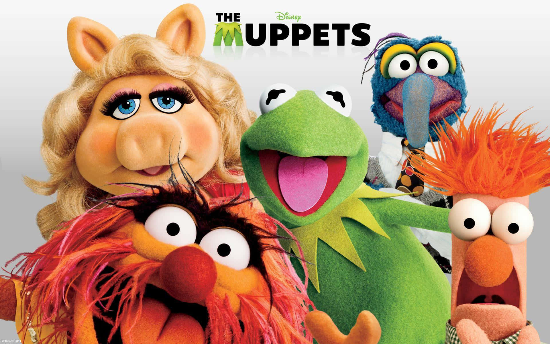 Muppets-elokuvan juliste Taustakuvat
