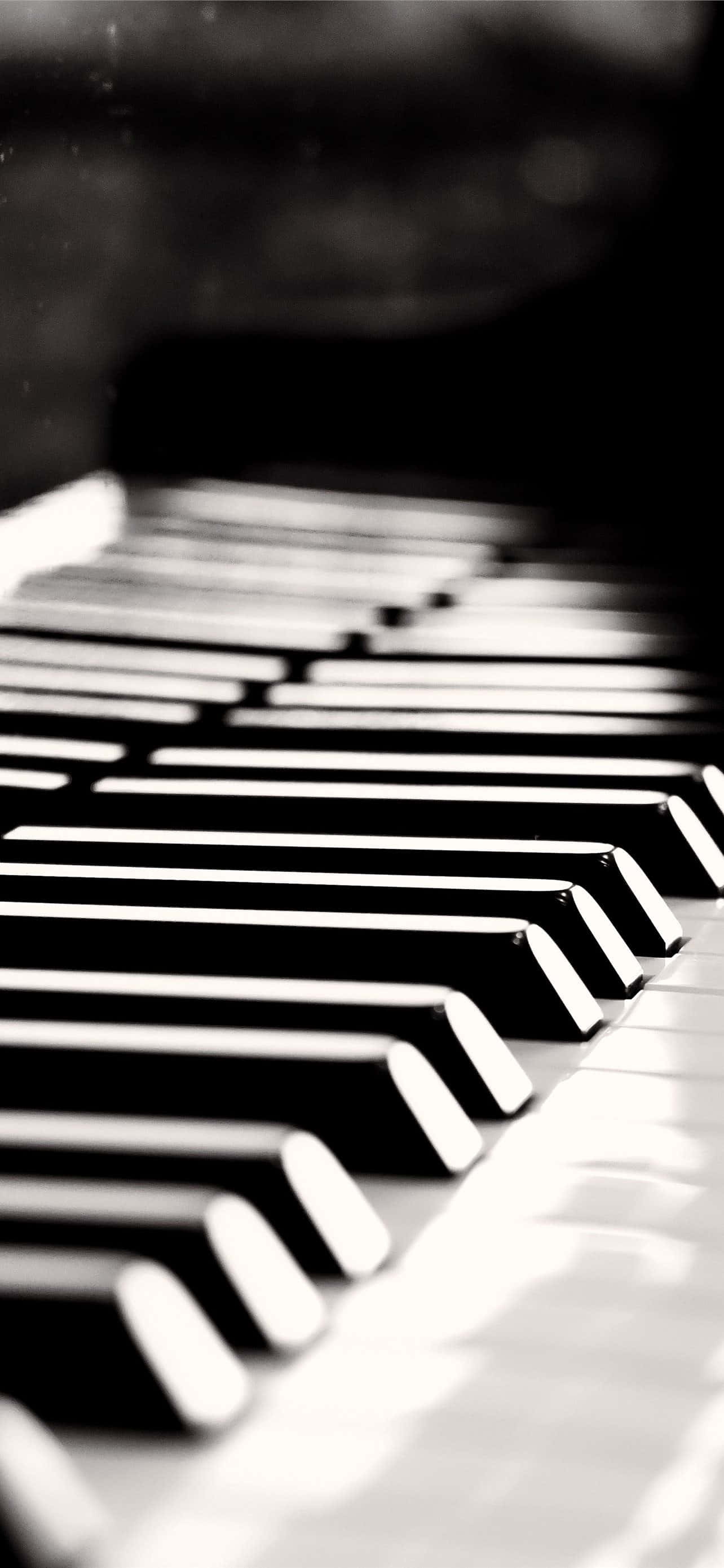 Musiikki-instrumentti Piano Mustavalkoinen Kuva Taustakuvat