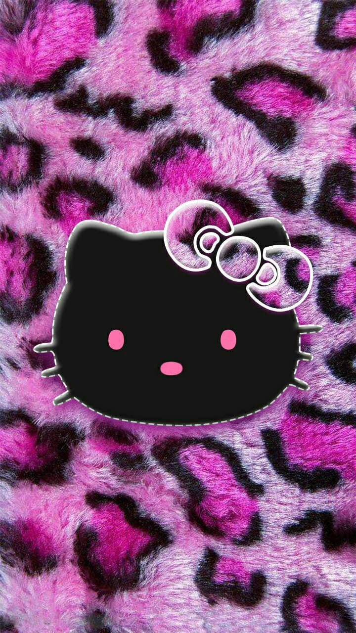 Musta Hello Kitty eläinkuosisella taustalla Taustakuvat