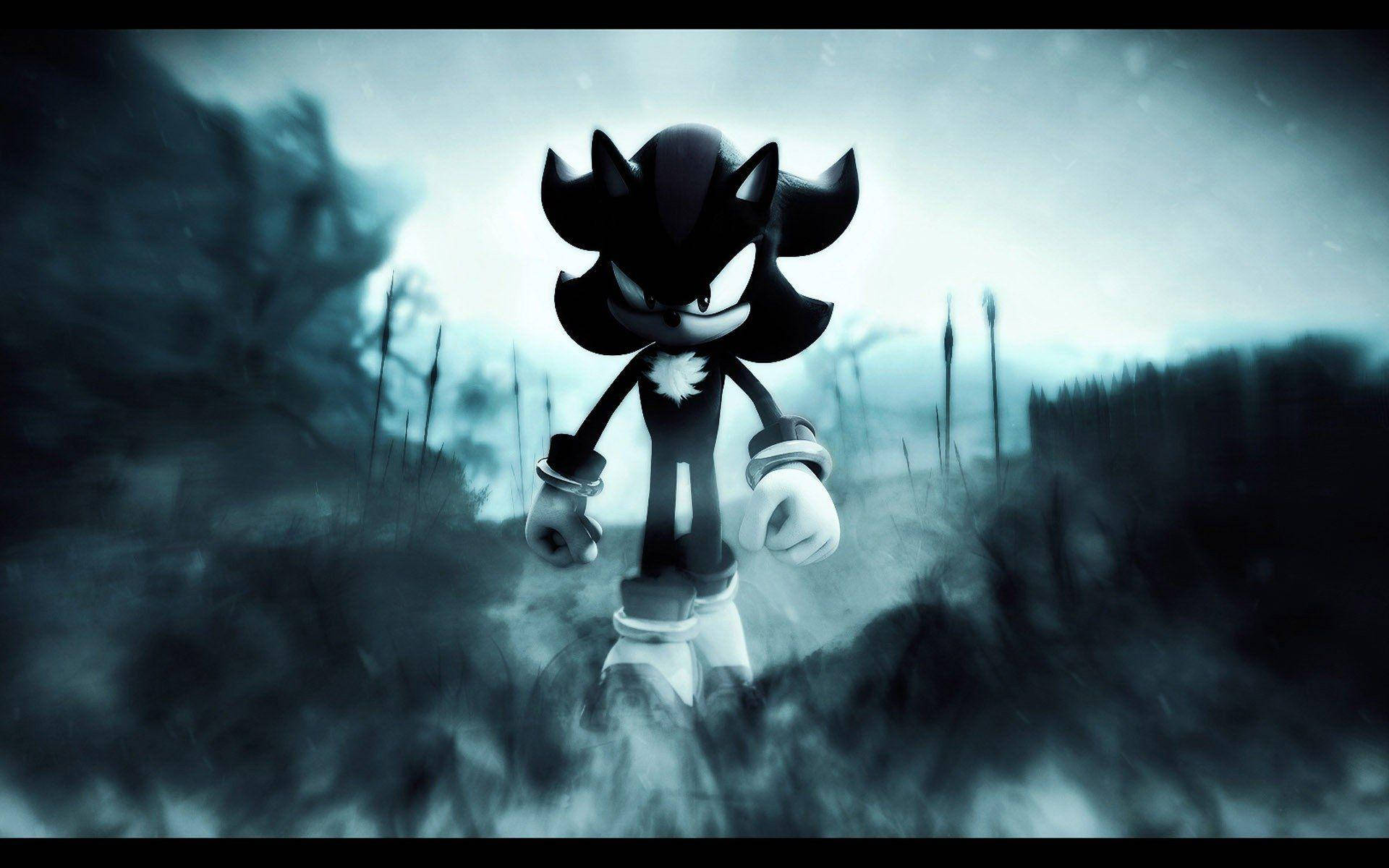Musta ja valkoinen Sega Shadow the Hedgehog PFP Taustakuvat