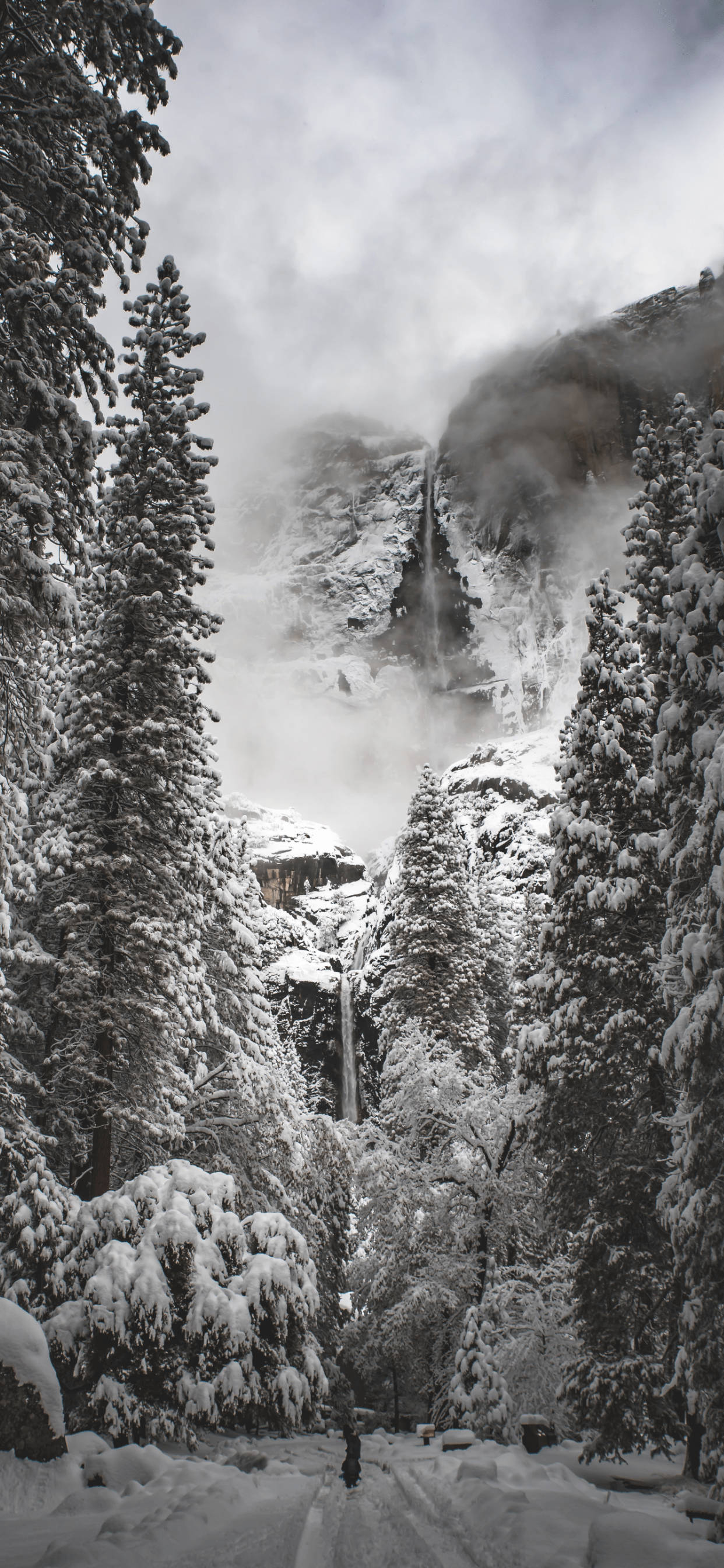 Musta-valkoinen Yosemite iPhone Taustakuvat