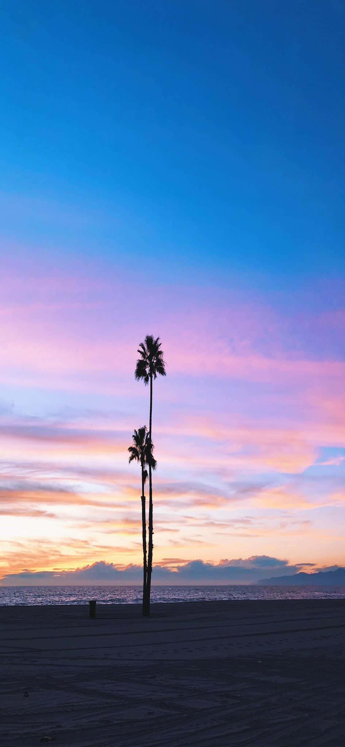 Nauti elämästä Kultaisessa osavaltiossa iPhone X Californialla Taustakuvat