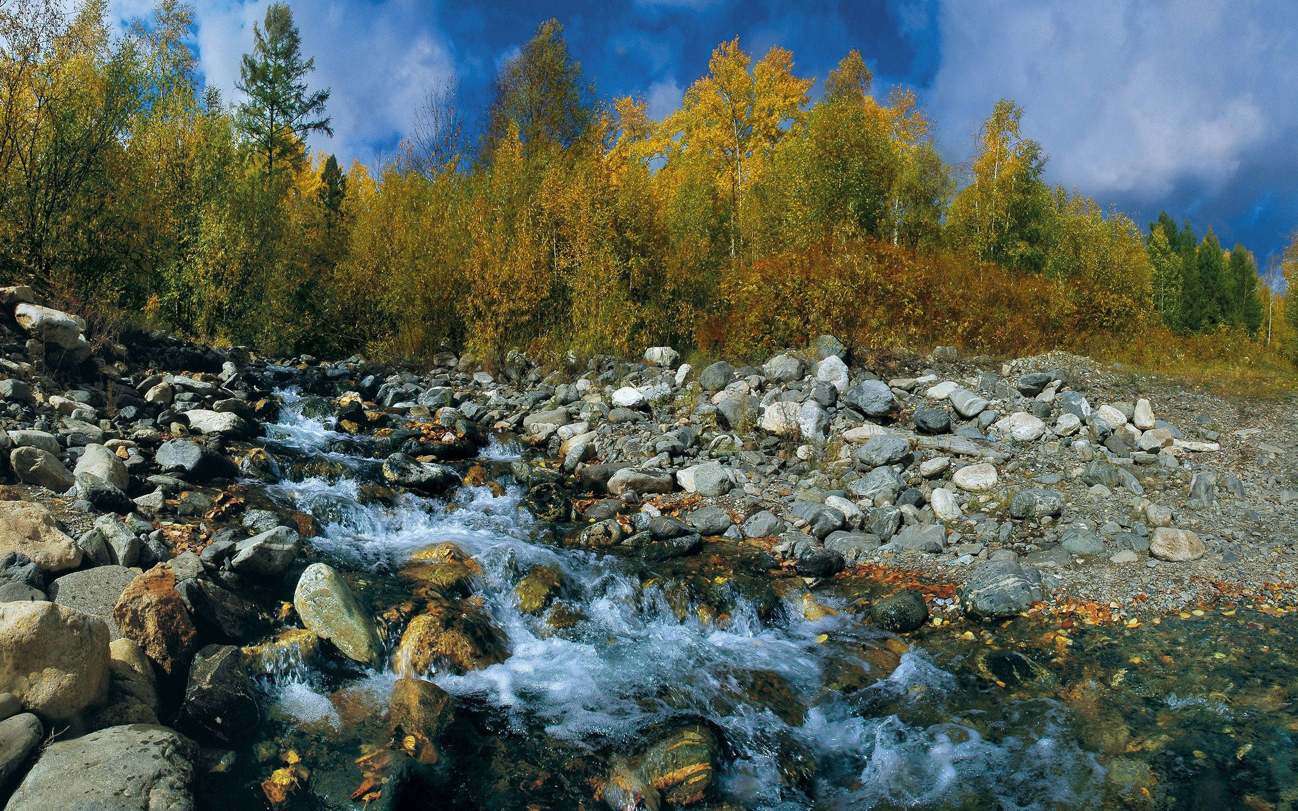 Nauti rentouttavasta kesäpäivästä joen rannalla! Taustakuvat