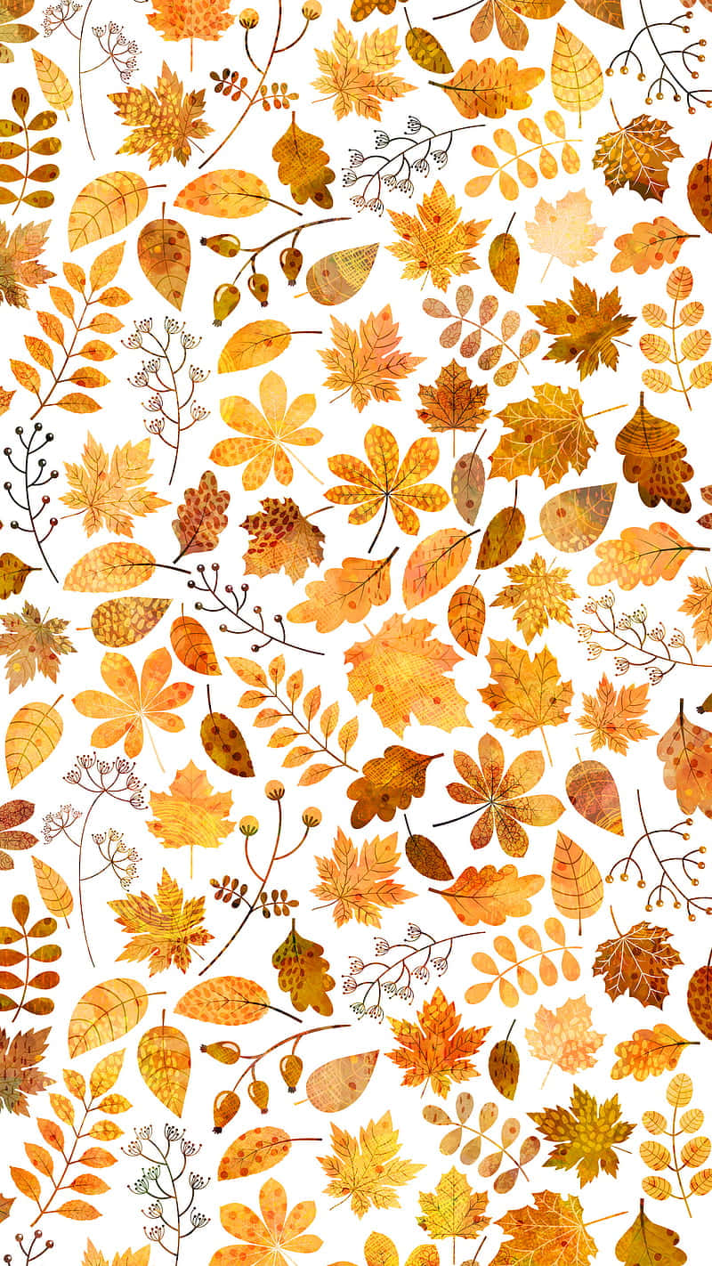 Nauti syksyn eloisista väreistä tämän suloisen pienen ketun kanssa! Taustakuvat