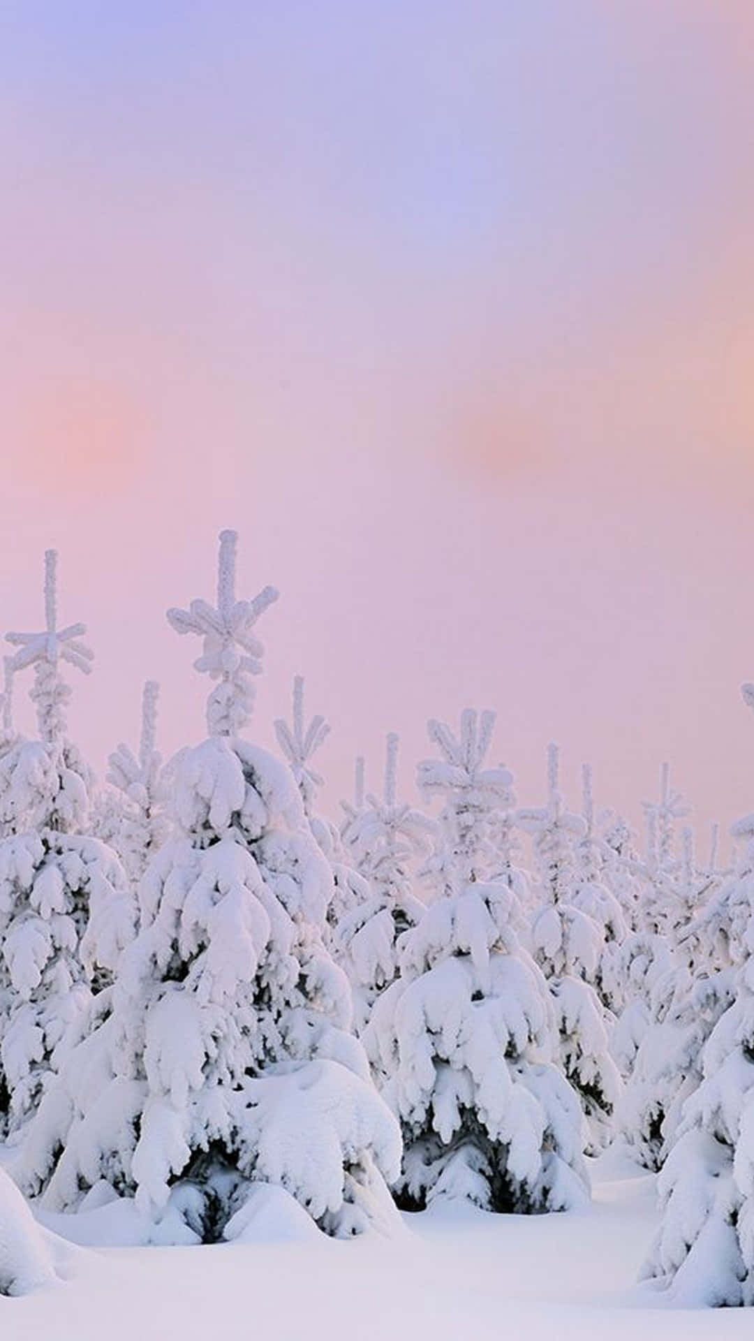 Nauti talven kauneudesta rauhallisella näkymällä lumipeitteisille vuorille Taustakuvat