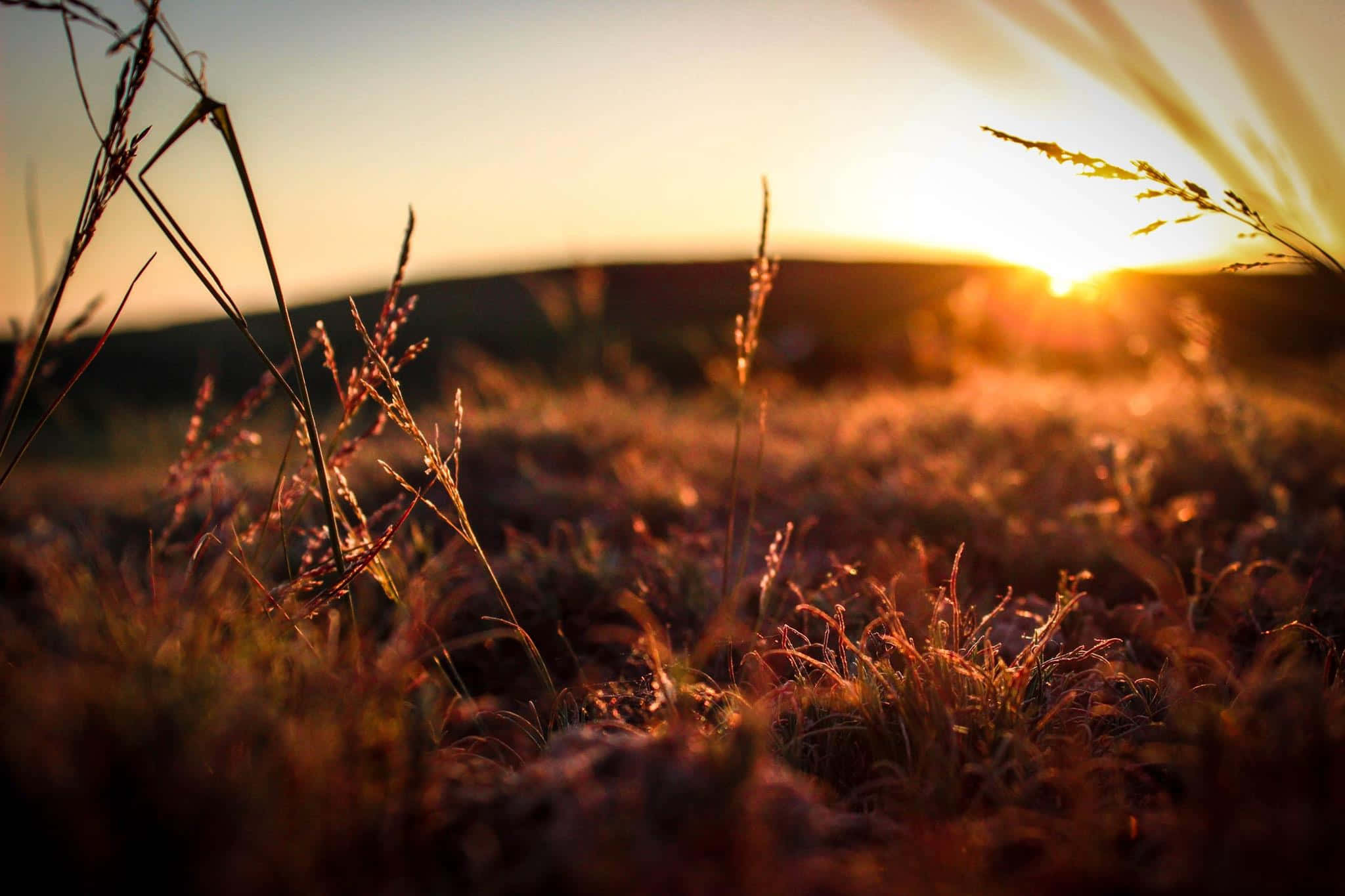 Nauttimassa kauniista auringonlaskusta Taustakuvat