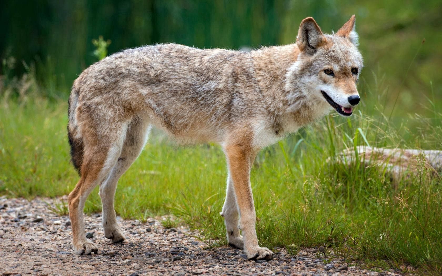 Nauttimassa kesäauringosta Taustakuvat