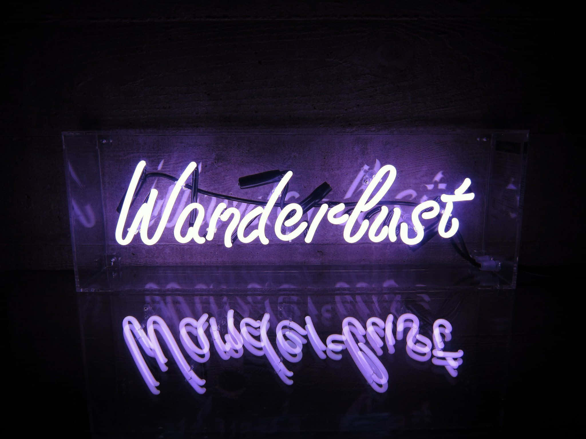Neon-lainaus Purppura Wanderlust Taustakuvat