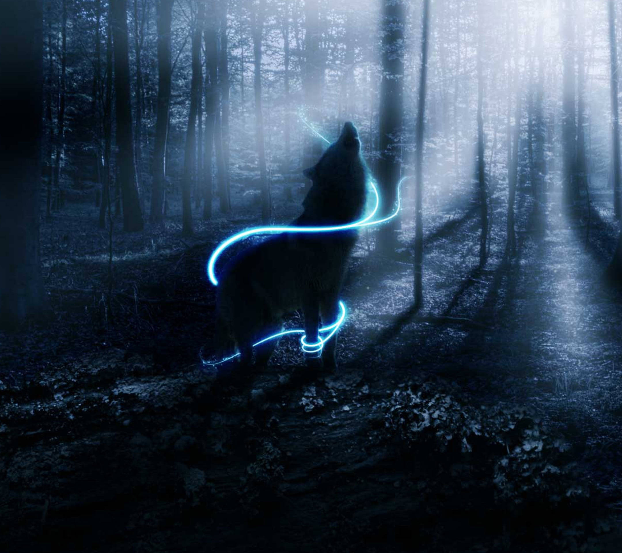 Neon sininen anime-susi eteerisessä metsässä Taustakuvat