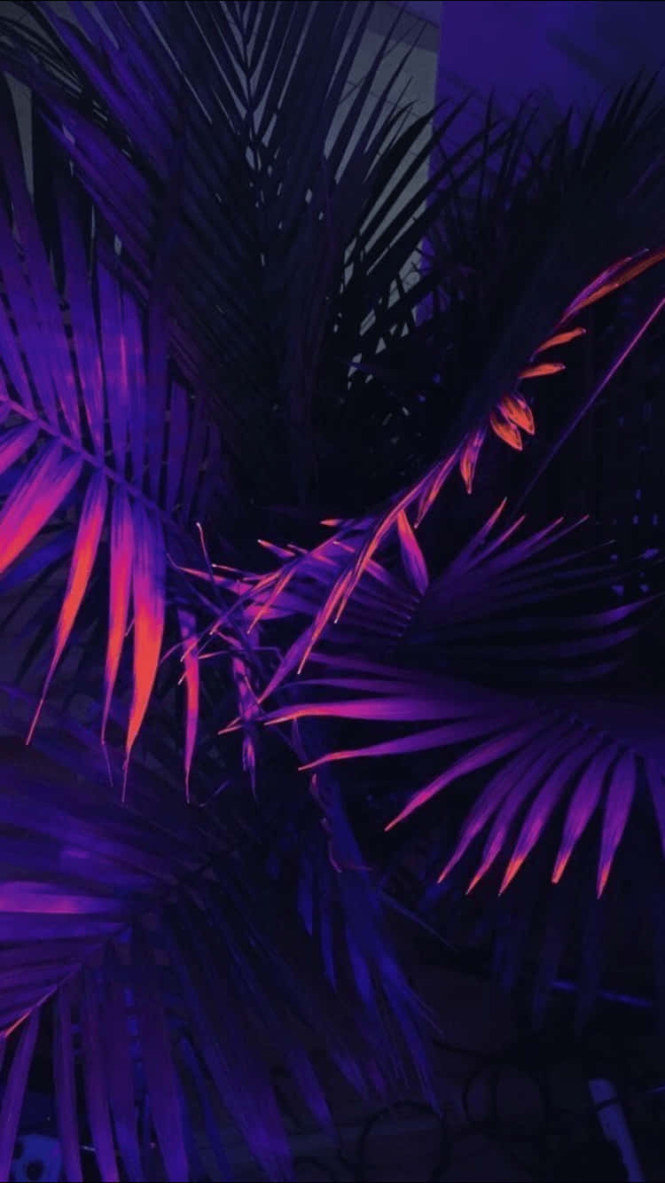 Neonpalmu estetiikka violetti tausta Taustakuvat