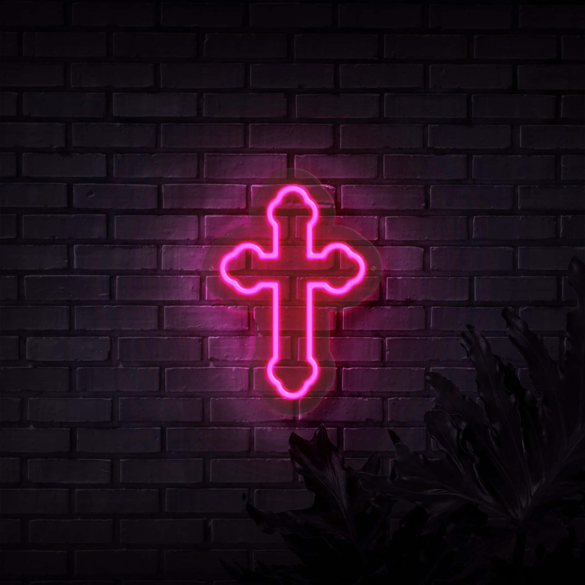 Neonristi neonpinkki Taustakuvat