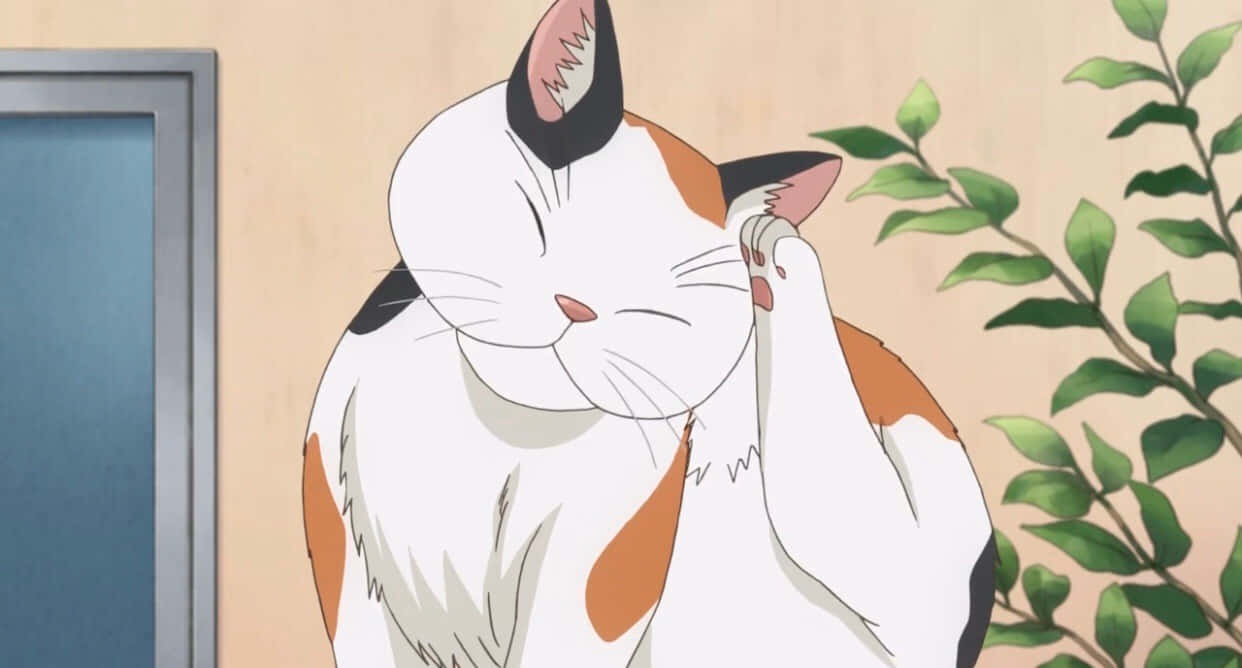 Niin söpö animekissa silmälaseilla! Taustakuvat