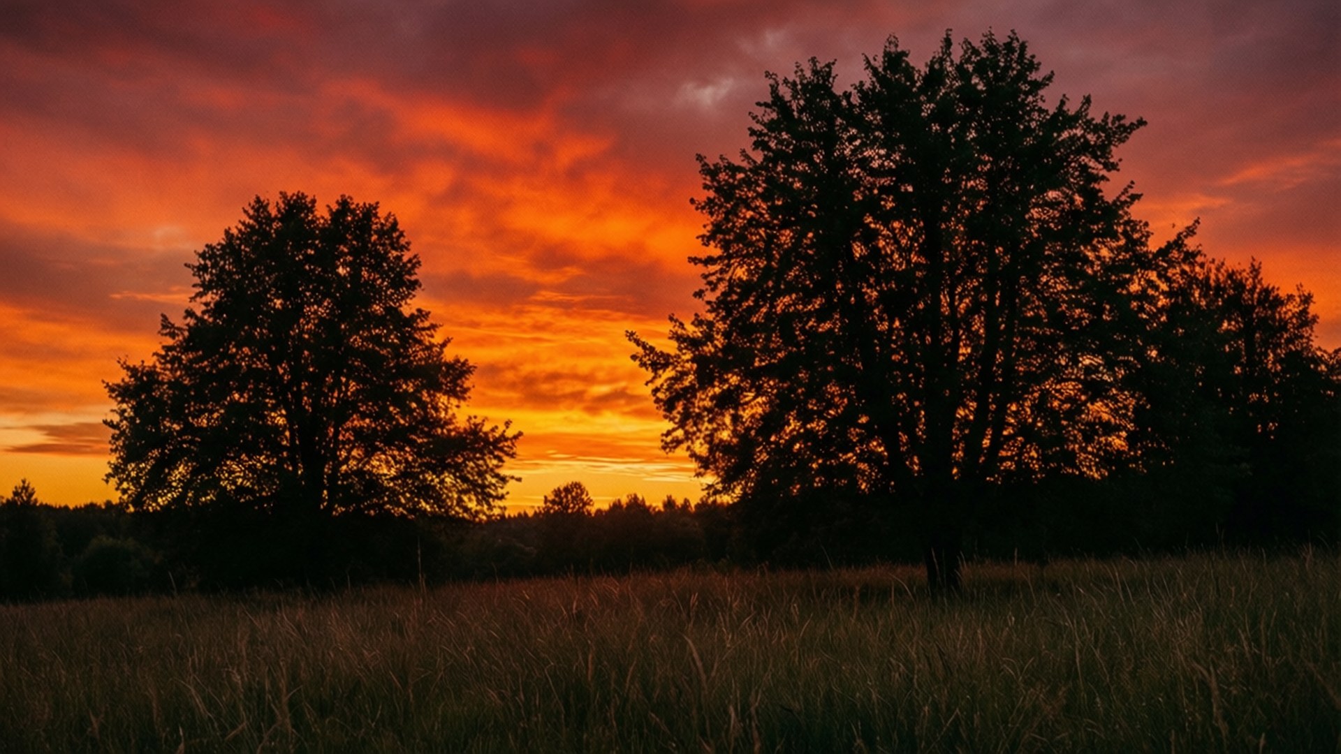 Niittytulva auringonlaskussa Taustakuvat