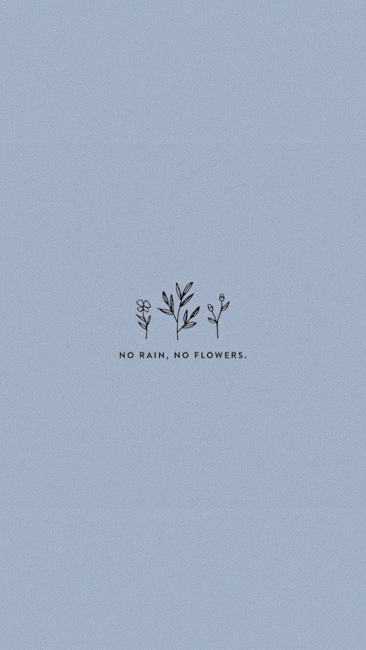 No Rain No Flowers Söpö Esteettinen Taustakuvat