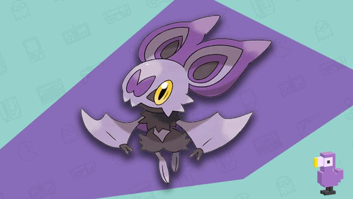 Noibat violetilla ja turkoosilla taustalla Taustakuvat