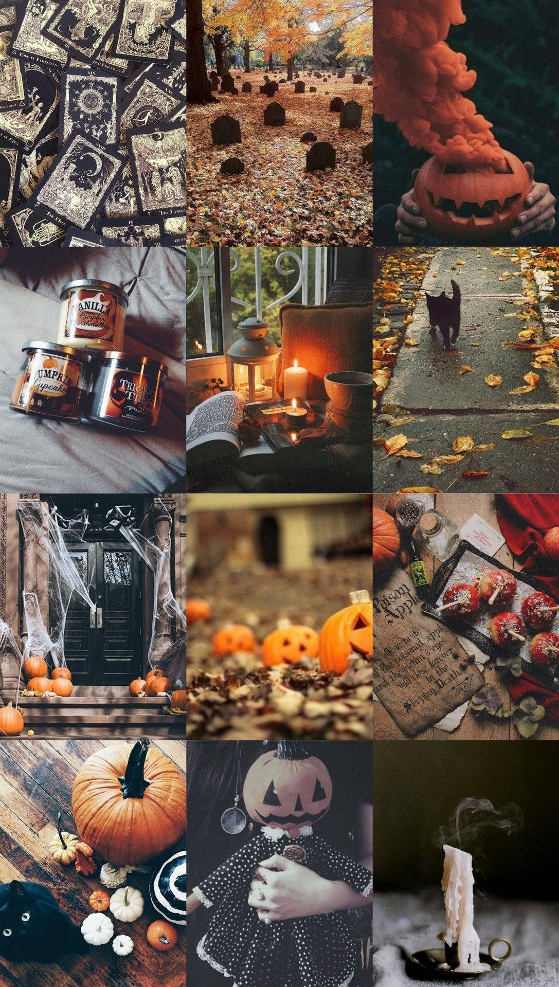 Noitamainen Halloween-tunnelma Taustakuvat
