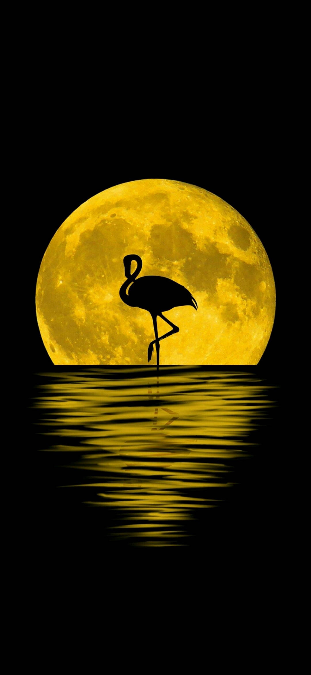 Note 10 Plus Flamingo Moon Taustakuvat