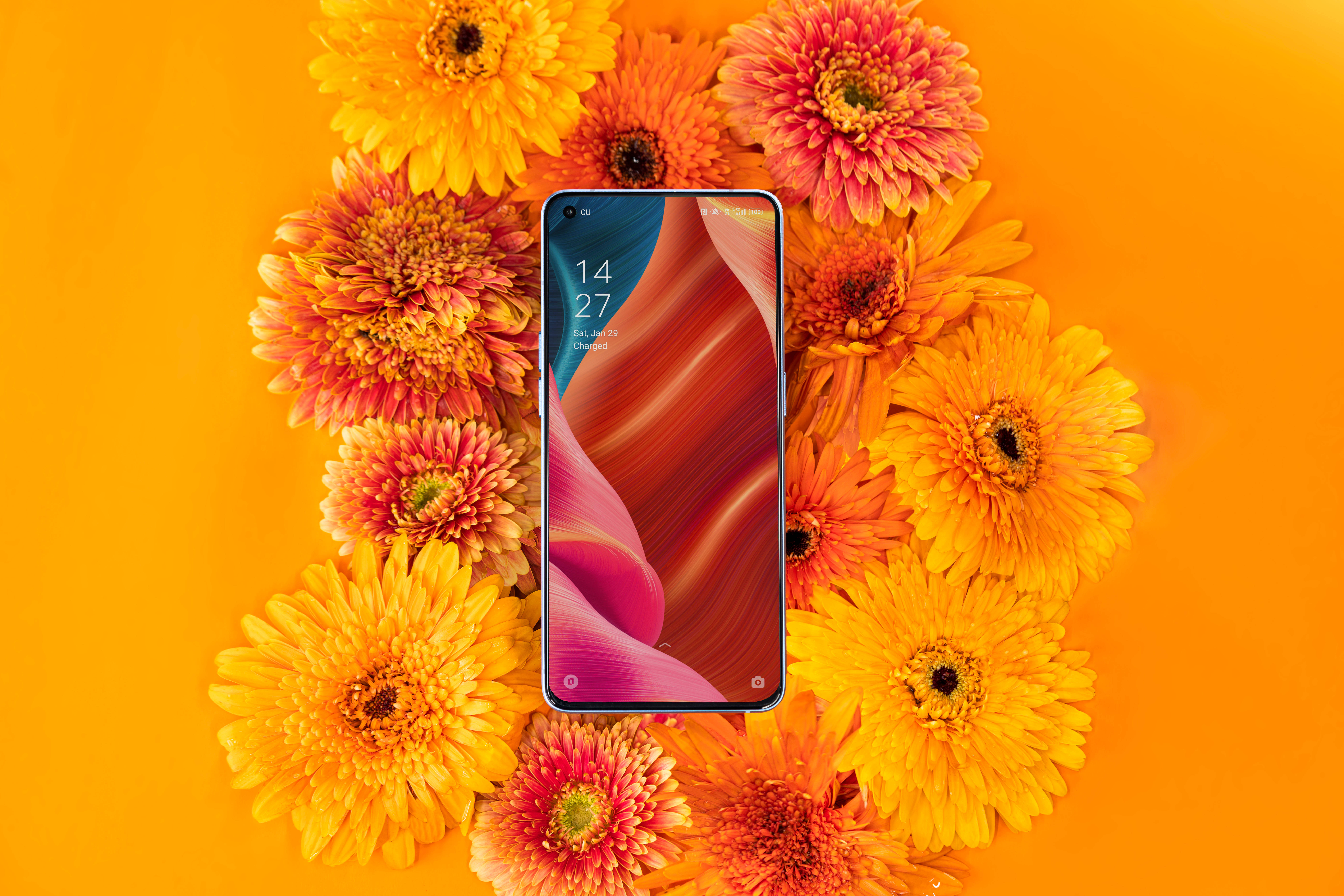 Oppo-älypuhelin ja kukoistava kasvisto Taustakuvat
