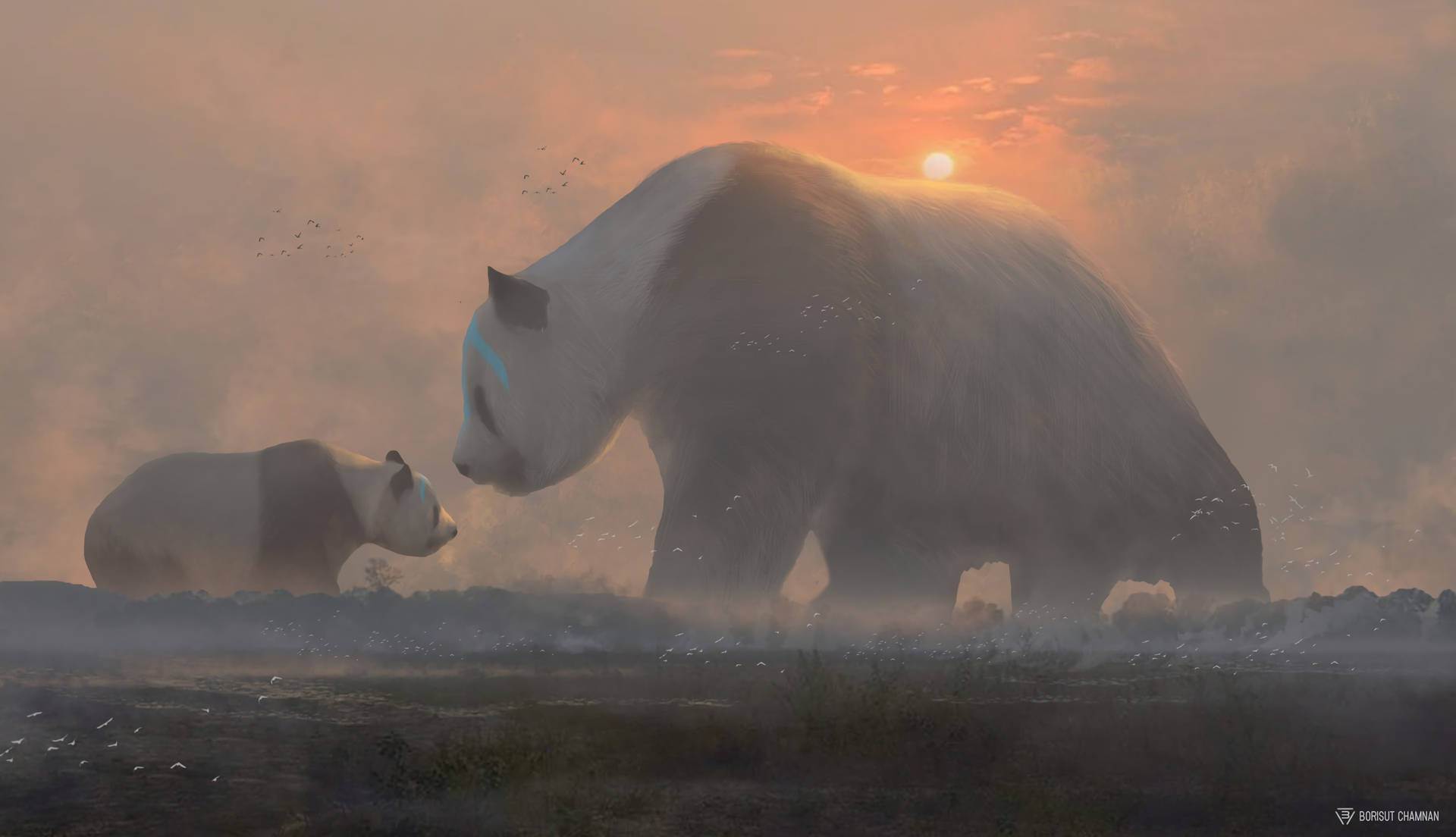 Panda ja pentu pilvinen auringonlasku työpöydän taustakuva.