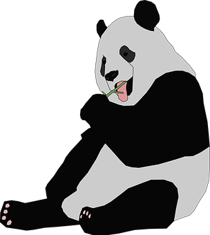 Panda syö bambua Taustakuvat