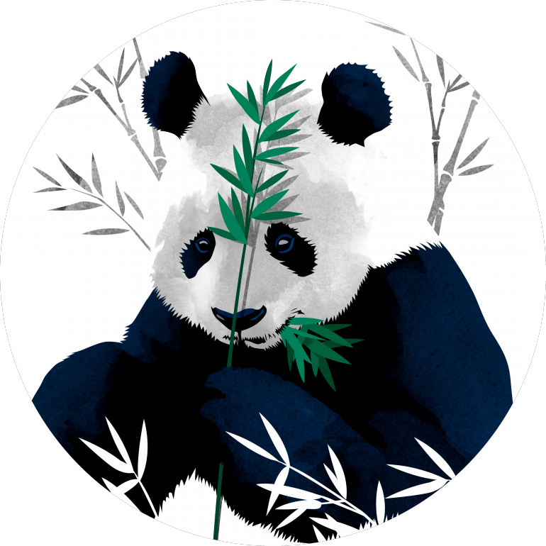 Panda syö bambua vektori taide Taustakuvat
