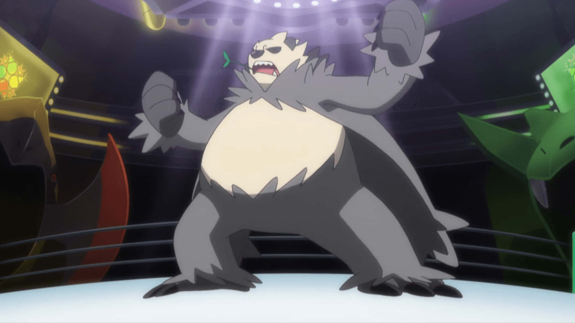 Pangoro taistelukehässä Taustakuvat