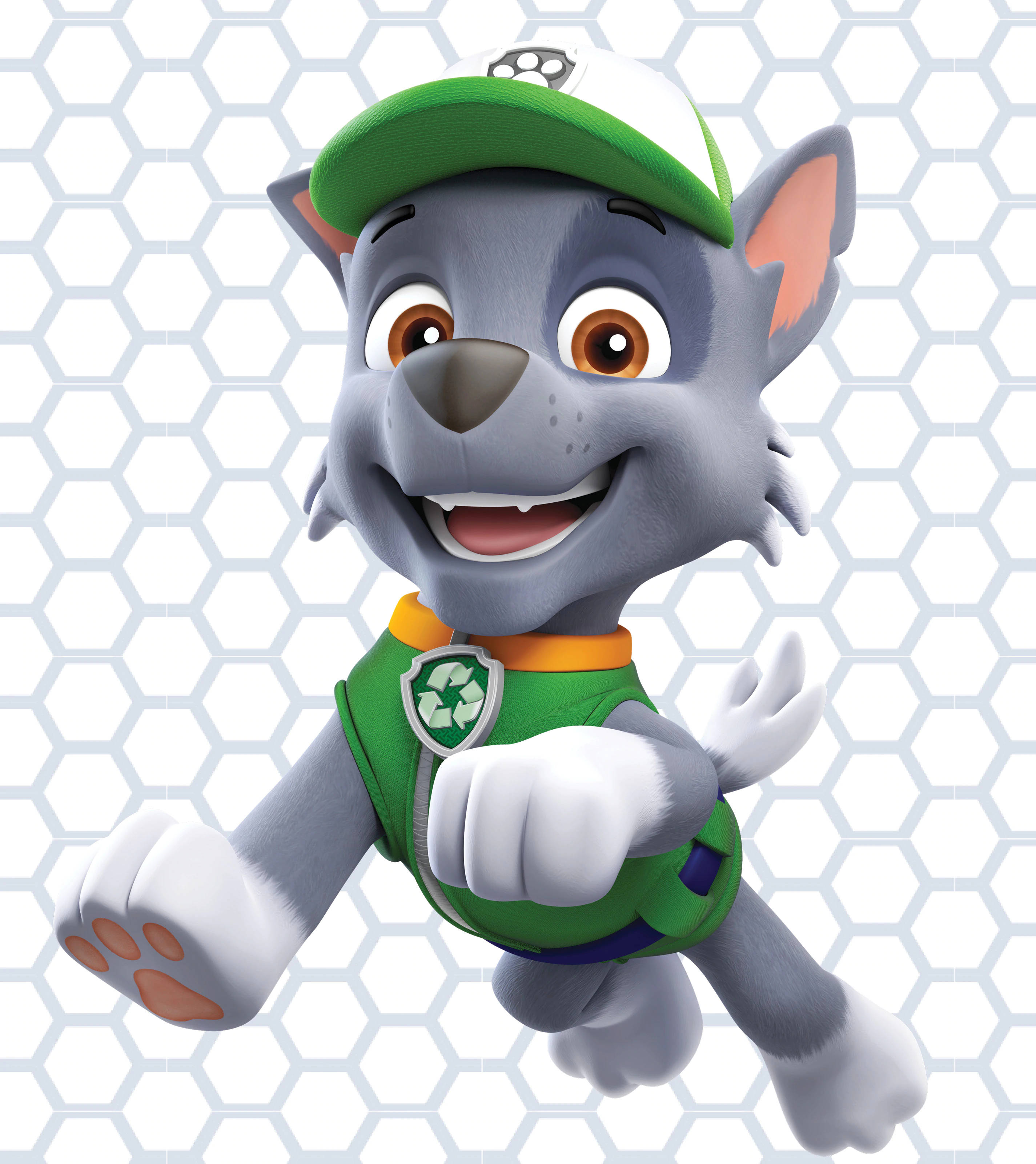 Paw Patrol Rocky Taustakuvat