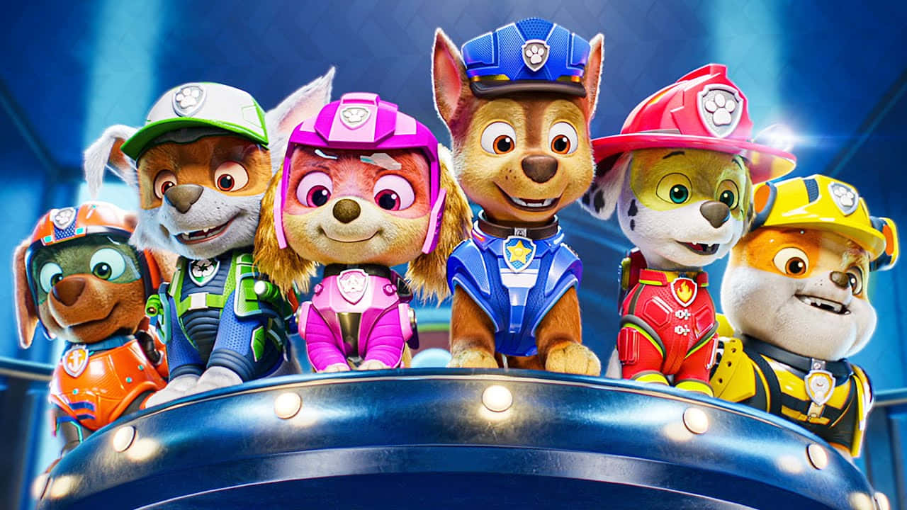 Paw Patrol The Movie Päivystyspentut Taustakuvat