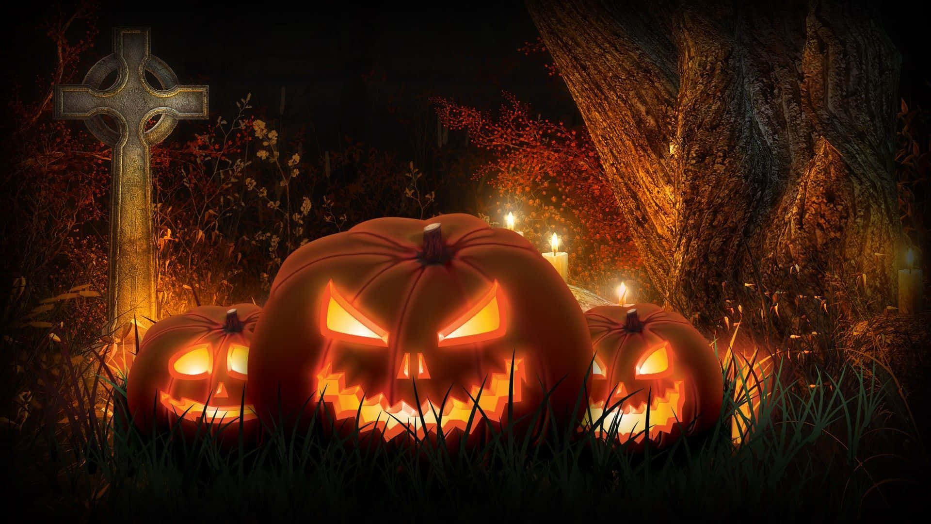 Pelottava Halloween-taustakuva Taustakuvat