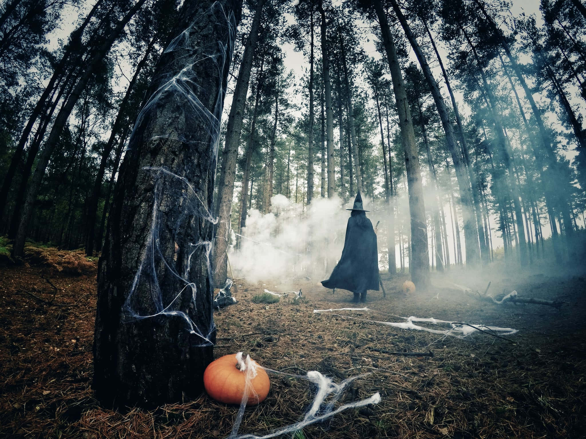 Pelottava Halloween-taustakuva Taustakuvat