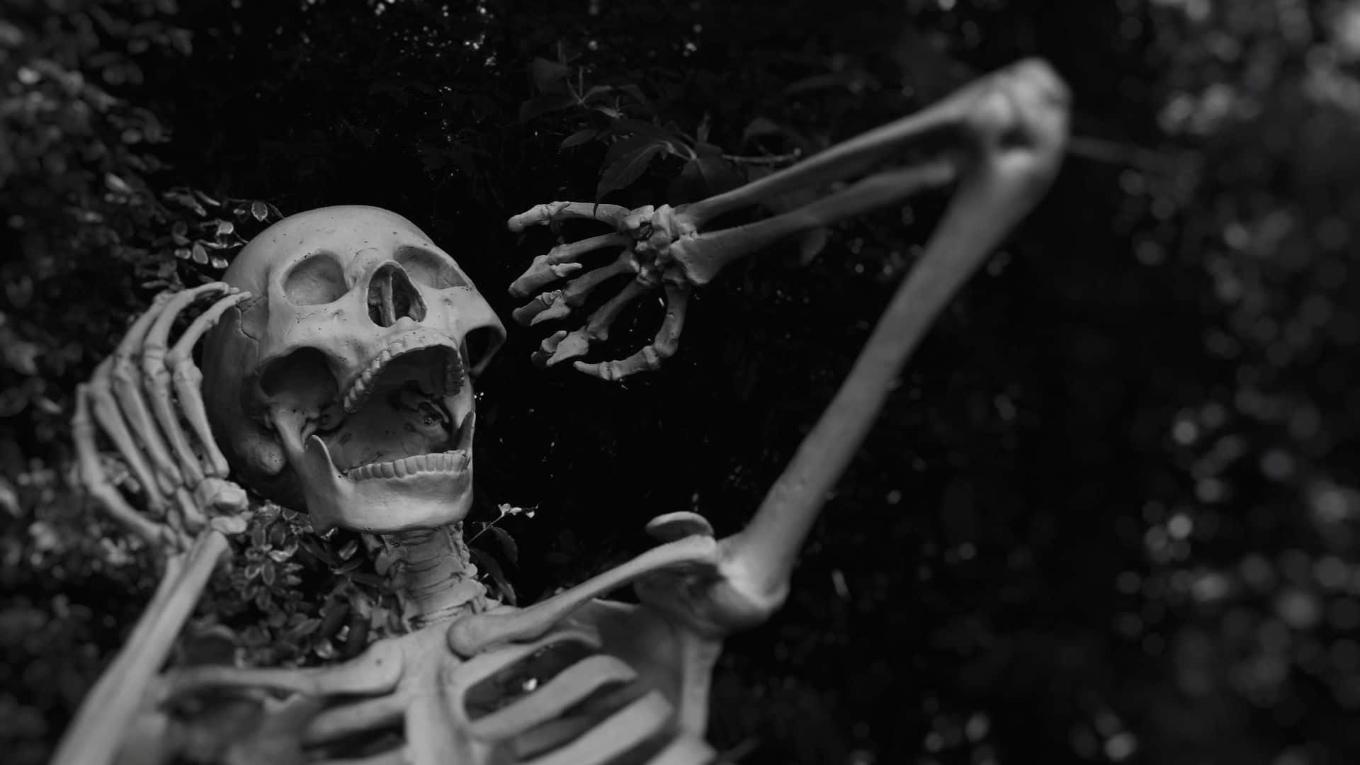 Pelottava Halloween-taustakuva Taustakuvat